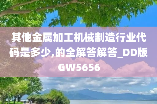 其他金属加工机械制造行业代码是多少,的全解答解答_DD版GW5656