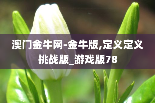 澳门金牛网-金牛版,定义定义挑战版_游戏版78