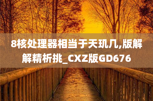 8核处理器相当于天玑几,版解解精析挑_CXZ版GD676