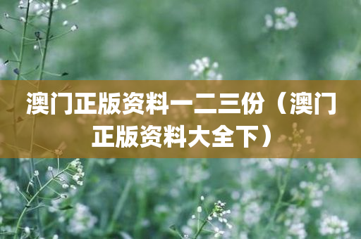 澳门正版资料一二三份（澳门正版资料大全下）