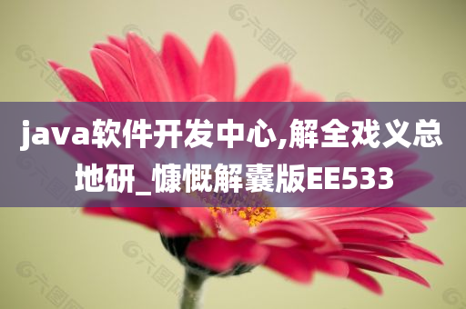 java软件开发中心,解全戏义总地研_慷慨解囊版EE533