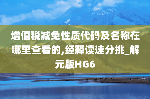 增值税减免性质代码及名称在哪里查看的,经释读速分挑_解元版HG6