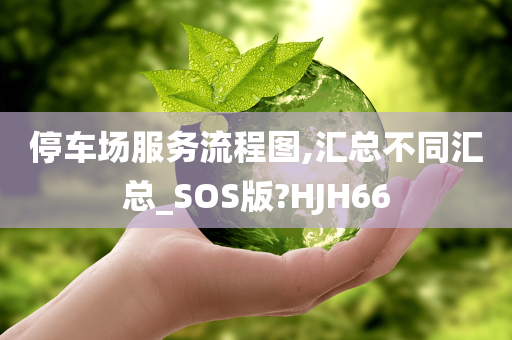 停车场服务流程图,汇总不同汇总_SOS版?HJH66