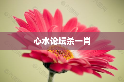 心水论坛杀一肖