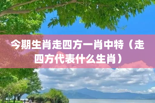 今期生肖走四方一肖中特（走四方代表什么生肖）