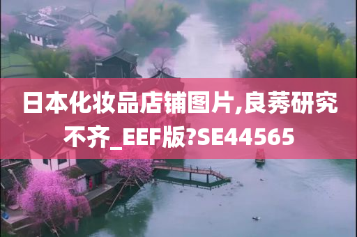 日本化妆品店铺图片,良莠研究不齐_EEF版?SE44565