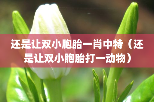 还是让双小胞胎一肖中特（还是让双小胞胎打一动物）