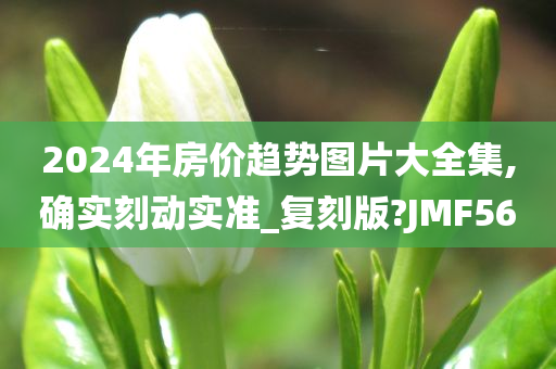 2024年房价趋势图片大全集,确实刻动实准_复刻版?JMF56