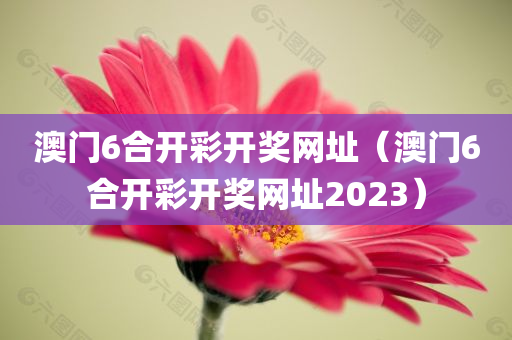 澳门6合开彩开奖网址（澳门6合开彩开奖网址2023）