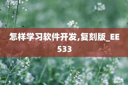 怎样学习软件开发,复刻版_EE533