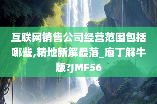 互联网销售公司经营范围包括哪些,精地新解最落_庖丁解牛版?JMF56