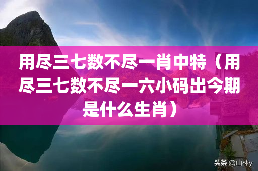 用尽三七数不尽一肖中特（用尽三七数不尽一六小码出今期是什么生肖）