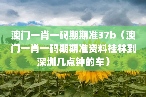 澳门一肖一码期期准37b（澳门一肖一码期期准资料桂林到深圳几点钟的车）