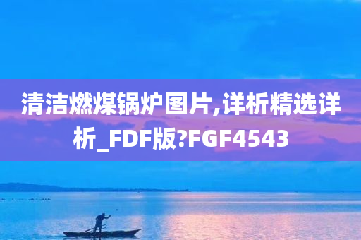 清洁燃煤锅炉图片,详析精选详析_FDF版?FGF4543