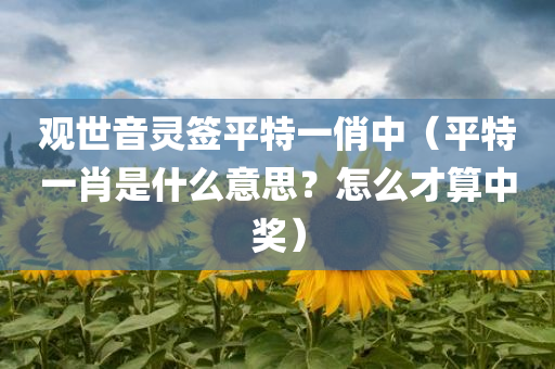 观世音灵签平特一俏中（平特一肖是什么意思？怎么才算中奖）