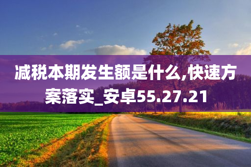 减税本期发生额是什么,快速方案落实_安卓55.27.21