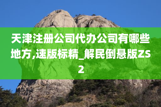 天津注册公司代办公司有哪些地方,速版标精_解民倒悬版ZS2