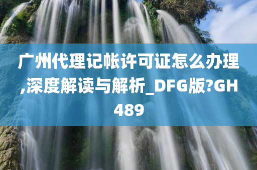 广州代理记帐许可证怎么办理,深度解读与解析_DFG版?GH489