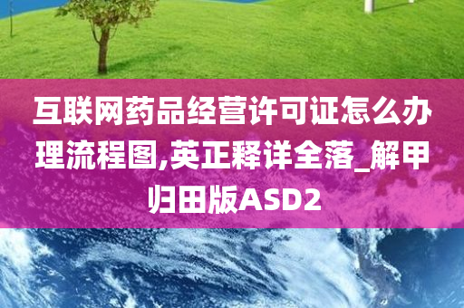 互联网药品经营许可证怎么办理流程图,英正释详全落_解甲归田版ASD2