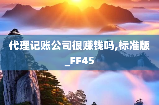 代理记账公司很赚钱吗,标准版_FF45