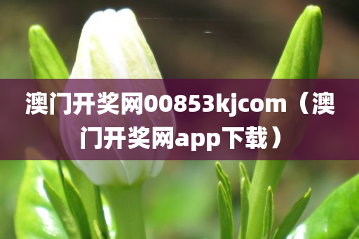 澳门开奖网00853kjcom（澳门开奖网app下载）