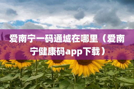 爱南宁一码通城在哪里（爱南宁健康码app下载）