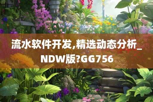 流水软件开发,精选动态分析_NDW版?GG756