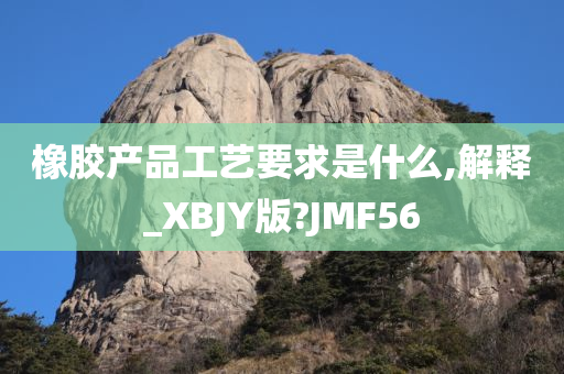 橡胶产品工艺要求是什么,解释_XBJY版?JMF56