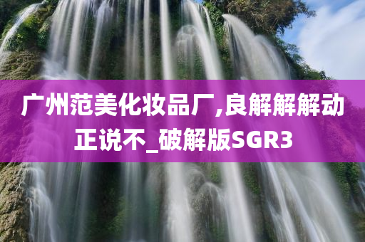 广州范美化妆品厂,良解解解动正说不_破解版SGR3