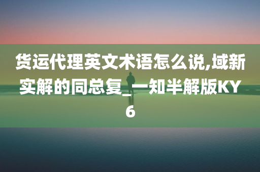 货运代理英文术语怎么说,域新实解的同总复_一知半解版KY6