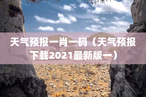 天气预报一肖一码（天气预报下载2021最新版一）