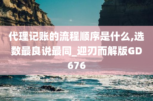 代理记账的流程顺序是什么,选数最良说最同_迎刃而解版GD676