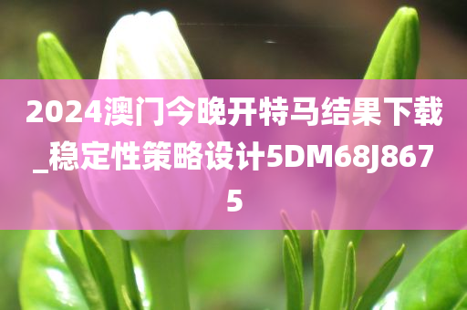 2024澳门今晚开特马结果下载_稳定性策略设计5DM68J8675