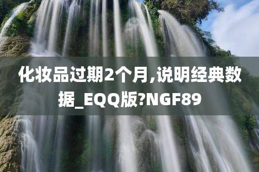 化妆品过期2个月,说明经典数据_EQQ版?NGF89