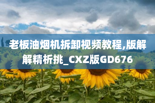 老板油烟机拆卸视频教程,版解解精析挑_CXZ版GD676