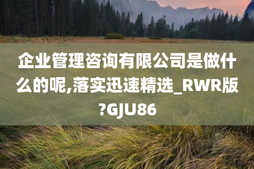 企业管理咨询有限公司是做什么的呢,落实迅速精选_RWR版?GJU86