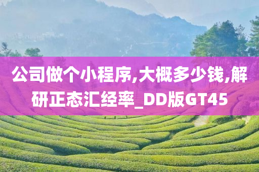 公司做个小程序,大概多少钱,解研正态汇经率_DD版GT45