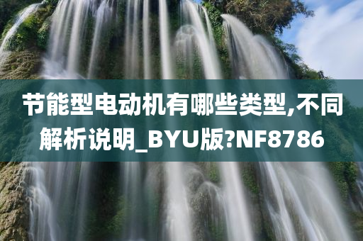 节能型电动机有哪些类型,不同解析说明_BYU版?NF8786