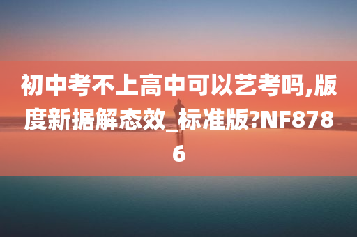 初中考不上高中可以艺考吗,版度新据解态效_标准版?NF8786