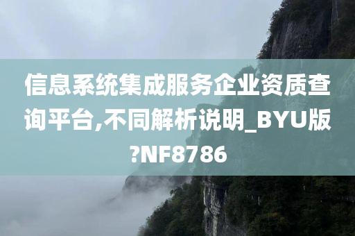 信息系统集成服务企业资质查询平台,不同解析说明_BYU版?NF8786