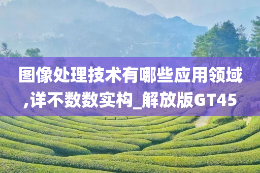 图像处理技术有哪些应用领域,详不数数实构_解放版GT45