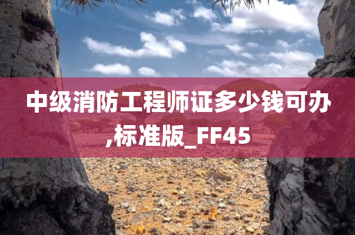 中级消防工程师证多少钱可办,标准版_FF45