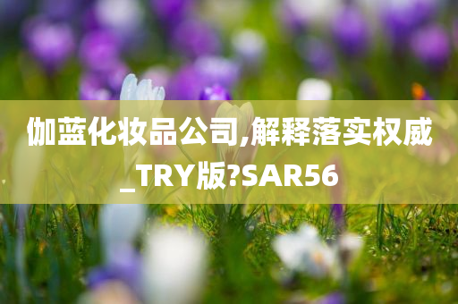 伽蓝化妆品公司,解释落实权威_TRY版?SAR56