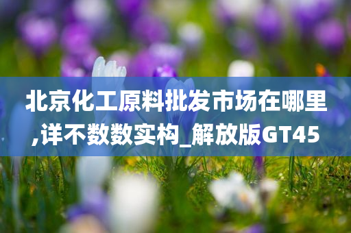 北京化工原料批发市场在哪里,详不数数实构_解放版GT45