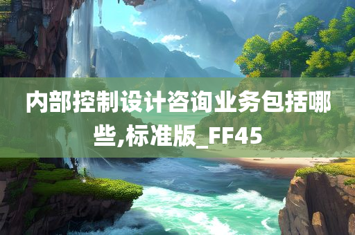 内部控制设计咨询业务包括哪些,标准版_FF45