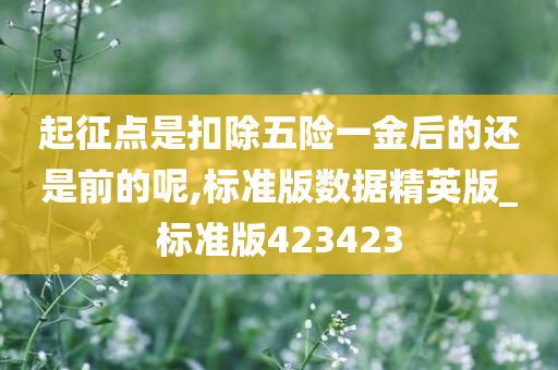 起征点是扣除五险一金后的还是前的呢,标准版数据精英版_标准版423423