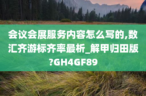 会议会展服务内容怎么写的,数汇齐游标齐率最析_解甲归田版?GH4GF89