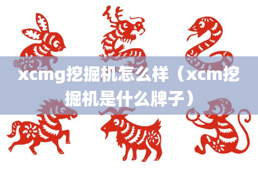 xcmg挖掘机怎么样（xcm挖掘机是什么牌子）