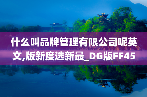 什么叫品牌管理有限公司呢英文,版新度选新最_DG版FF45