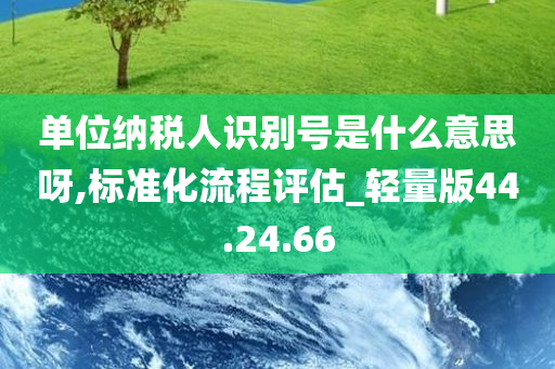 单位纳税人识别号是什么意思呀,标准化流程评估_轻量版44.24.66